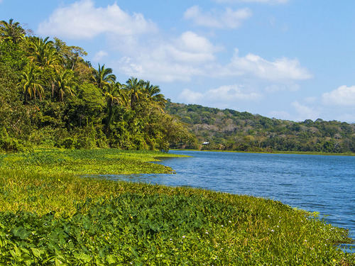 Panama City Chagres River Canal and Rainforest Cruise Excursion