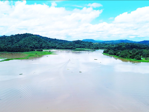 Panama City Chagres River Canal and Rainforest Cruise Excursion