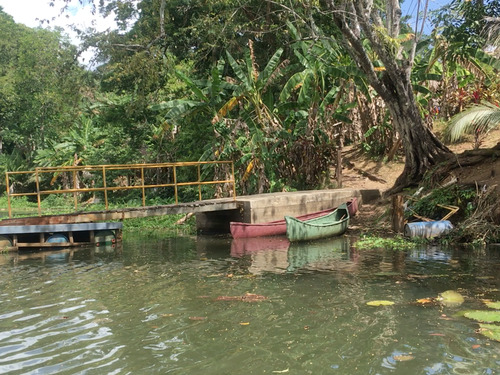 Panama City Jungle, Culture & Colonial Charm Excursion