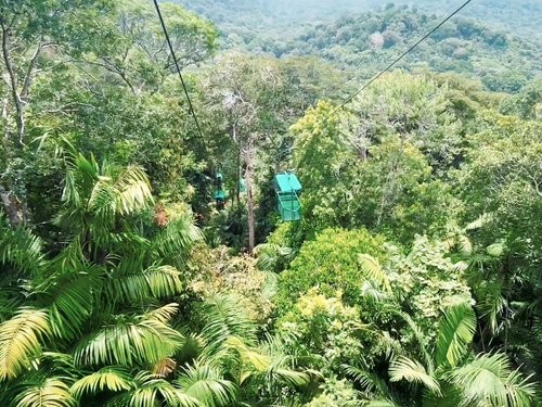 Panama City Jungle Views by Aerial Tram and Sightseeing Excursion