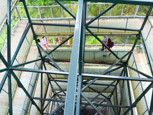 Panama City Jungle Views by Aerial Tram and Sightseeing Excursion