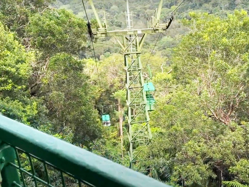 Panama City Jungle Views by Aerial Tram and Sightseeing Excursion