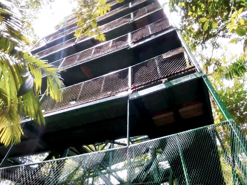 Panama City Jungle Views by Aerial Tram and Sightseeing Excursion