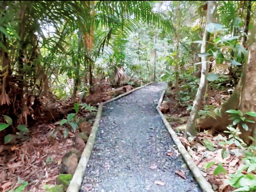 Panama City Jungle Views by Aerial Tram and Sightseeing Excursion