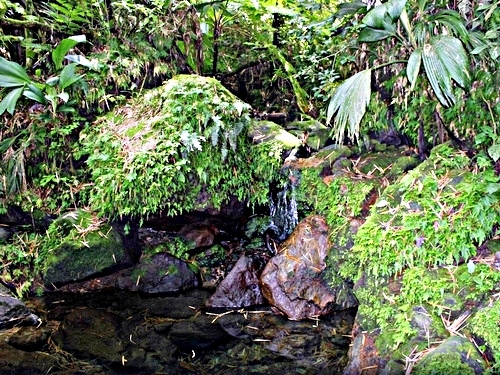 St Kitts Basseterre hiking Excursion Prices