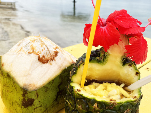 Honduras Beach  Shore Excursion Tickets