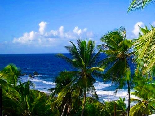 Barbados bridgetown Harrison Cave Tram Trip Booking