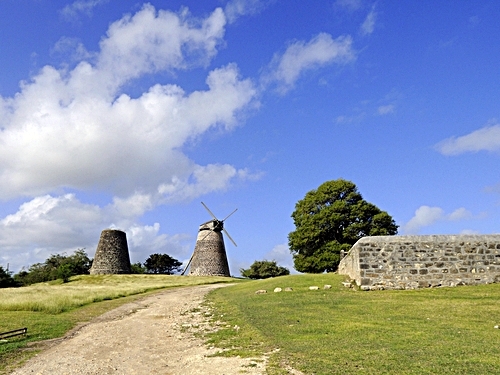 Antigua  St. John's English Harbour National Park Shore Excursion Reviews