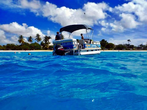 Barbados  West Indies (Bridgetown) snorkel from boat Tour