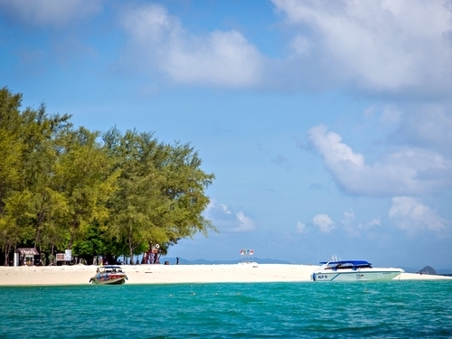 Belize  Belize City stingray Tour Reviews