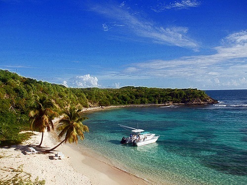 St. Johns stingray city Shore Excursion Booking