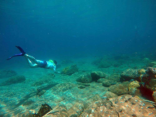 St. Kitts Catamaran Cruise Excursion Prices