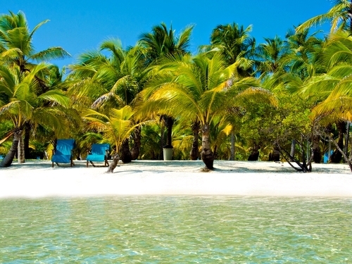 Belize  Belize City stingray Tour Reviews