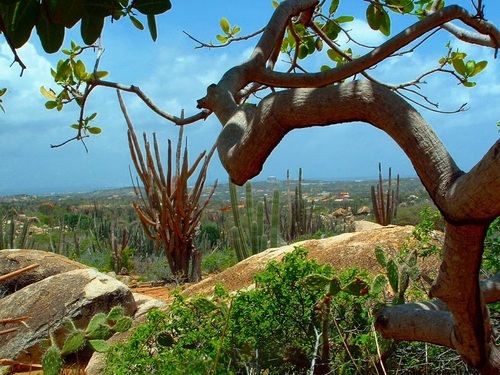 Aruba private sightseeing Excursion Cost