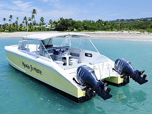 StBasseterre boat charter Trip Cost