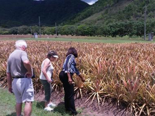 Antigua history Cruise Excursion Reviews